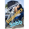Surprise Encounters: A Gay Erotica Anthology - Paperback