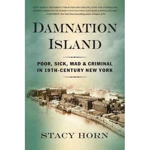 Damnation Island: Poor, Sick, Mad, and Criminal in 19th-Century New York - Paperback
