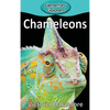 Chameleons - Hardcover