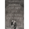 Because the Sky is a Thousand Soft Hurts - Paperback
