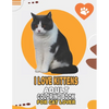 I Love Kittens Adult Coloring Book For Cat Lover: A Fun Easy, Relaxing, Stress Relieving Beautiful Cats Large Print Adult Coloring Book Of Kittens, Ki - Paperback