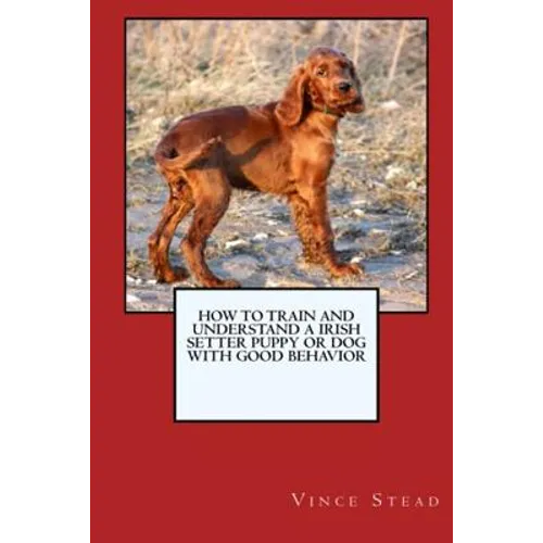 How to Train and Raise a Irish Setter Puppy or Dog with Good Behavior - Paperback
