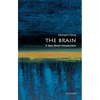 The Brain: A Very Short Introduction - Paperback