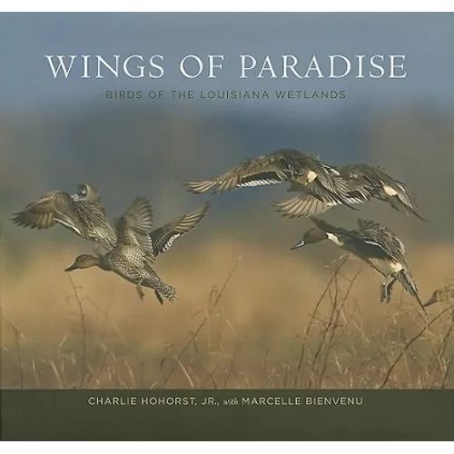 Wings of Paradise: Birds of the Louisiana Wetlands - Hardcover