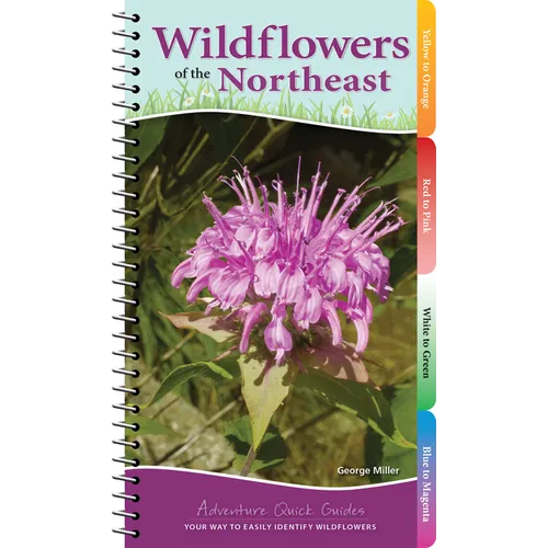 Wildflowers of the Northeast: Your Way to Easily Identify Wildflowers - Spiral