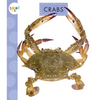 Crabs - Paperback