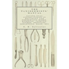 The Taxidermists' Manual - Giving Full Instructions in Mounting and Preserving Birds, Mammals, Insects, Fishes, Reptiles, Skeletons, Eggs, Etc - Paperback