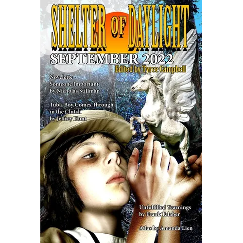 Shelter of Daylight September 2022 - Paperback