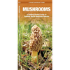 Mushrooms: An Introduction to Familiar North American Species