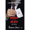 Bridge at the Beach - Hardcover
