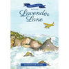 Chasing Skies Beyond Lavender Lane: A Sequel to: The Beans of Lavender Lane - Hardcover