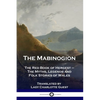 The Mabinogion: The Red Book of Hergest - The Myths, Legends and Folk Stories of Wales - Paperback