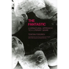 Fantastic: A Structural Approach to a Literary Genre - Paperback