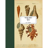 Vintage Prints: Shells: Vol. 9 - Paperback