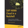 SAP Hana Cloud in a Nutshell: Design, Develop, and Deploy Data Models Using SAP Hana Cloud - Paperback