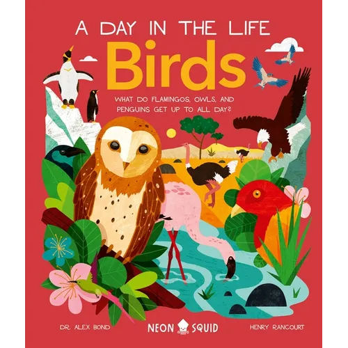 Birds (a Day in the Life): What Do Flamingos, Owls, and Penguins Get Up to All Day? - Hardcover