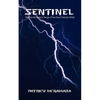 Sentinel: Become the Agent in Charge of Your Own Protection Detail - Paperback