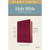 KJV Personal Size Giant Print Bible, Filament Enabled Edition (Leatherlike, Diamond Frame Cranberry) - Imitation Leather