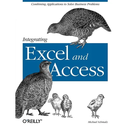 Integrating Excel and Access: Combining Applications to Solve Business Problems - Paperback