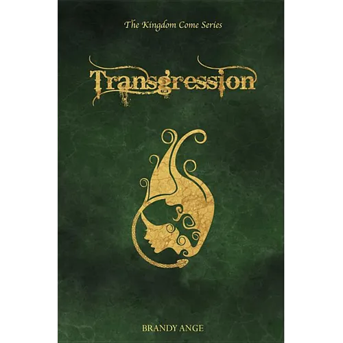 Transgression - Paperback