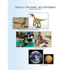 Exactly the Same...But Different - Paperback