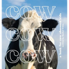 Cow Cow Cow: a book for cow obsessed kids - Hardcover