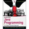 Beginning Java Programming: The Object-Oriented Approach - Paperback