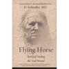 Flying Horse: Stories of Healing the Soul Wound - Paperback