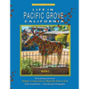 Life In Pacific Grove: Deeper Connections - Paperback
