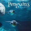 Penguins, A No Text Picture Book: A Calming Gift for Alzheimer Patients and Senior Citizens Living With Dementia - Paperback