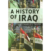 A History of Iraq - Paperback
