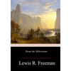 Down the Yellowstone - Paperback