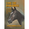 Came The Dark Horse: Horseracing Stories For Horseracing Fans - Hardcover