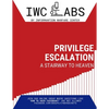 Privilege Escalation: A Stairway to Heaven - Paperback