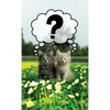 Discrete Password Logbook: "Kitty Cats" Edition - Hardcover