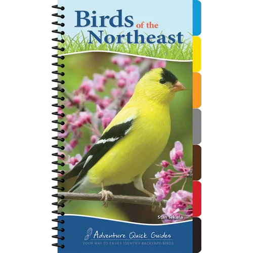 Birds of the Northeast: Your Way to Easily Identify Backyard Birds - Spiral