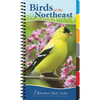 Birds of the Northeast: Your Way to Easily Identify Backyard Birds - Spiral