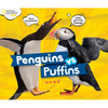 Penguins vs. Puffins - Hardcover