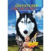 The Adventures of Loki - the Husky: A Child's Emotional Sojourn - Hardcover