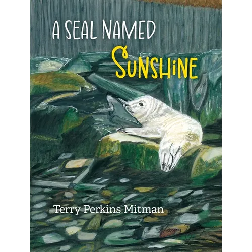 A Seal Named Sunshine: The Story of Sunshine and All the Rest Who Made a Big Splash One Winter in Maine - Hardcover