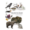 The Arctic Guide: Wildlife of the Far North - Paperback