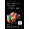 The Second Kind of Impossible: The Extraordinary Quest for a New Form of Matter - Paperback