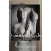 Household Gods - Paperback