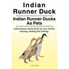 Indian Runner Duck. Indian Runner Ducks As Pets. Indian Runner Ducks book for care, health, housing, feeding and training. - Paperback