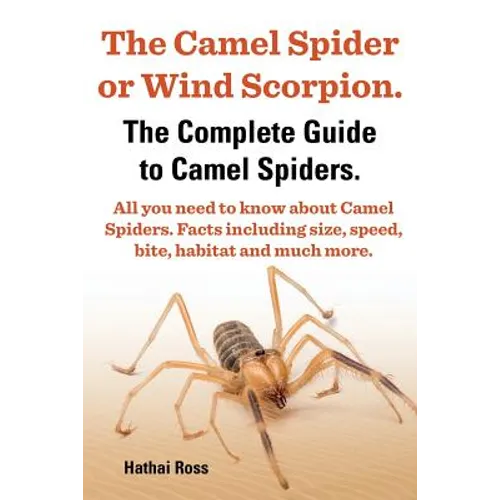 The Camel Spider or Wind Scorpion. the Complete Guide to Camel Spiders. All You Need to Know about Camel Spiders. Facts Including Size, Speed, Bite an - Paperback