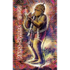 Rama Hymns: Hanuman-Chalisa, Rama-Raksha-Stotra, Bhushumdi-Ramayana, Nama-Ramayana, Rama-Shata-Nama-Stotra, Rama-Ashtakam and other Hymns - Hardcover