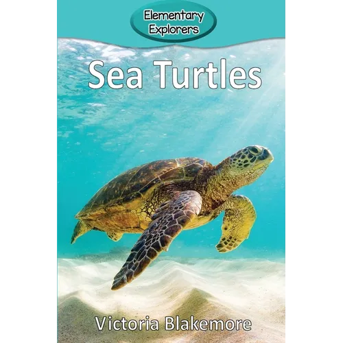 Sea Turtles - Paperback