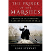The Prince of the Marshes: And Other Occupational Hazards of a Year in Iraq - Paperback