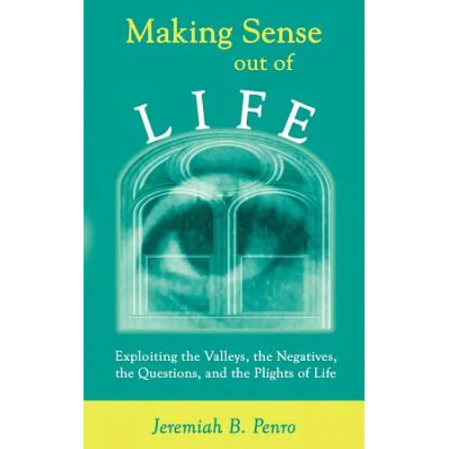 Making Sense Out of Life: Exploiting the Valleys, the Negatives, the Questions, and the Plights of Life - Paperback
