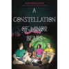 A Constellation of Minor Bears - Hardcover